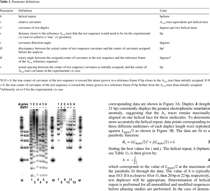 Image Obtained After Native Gel Electrophoresis Of - Gel Electrophoresis (850x775), Png Download