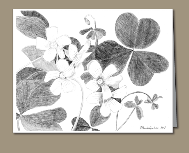 Shamrock Pencil Drawing (650x525), Png Download