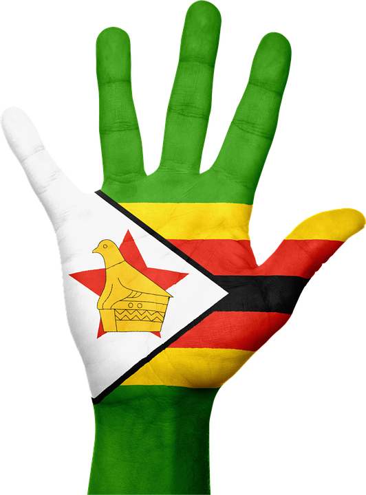 In Zimbabwe, Being Smart Was The “cool” Thing - Zimbabwe Flag Vector (532x720), Png Download