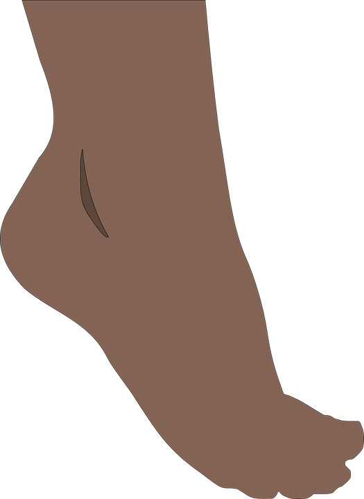 Foot, Feet, Toes, Barefoot, Human, Pedicure, Spa, Sole - Foot Clipart Png (525x720), Png Download