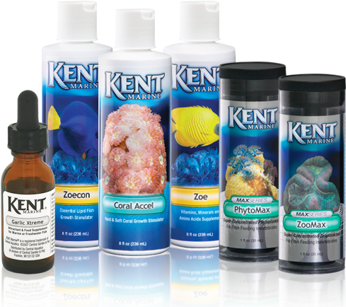 Water Care - Kent Marine - Nano Reef Parts A & B - 8 Fl. Oz. (511x450), Png Download