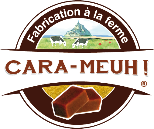 Logo Pour Le Web - Carameuh (567x567), Png Download