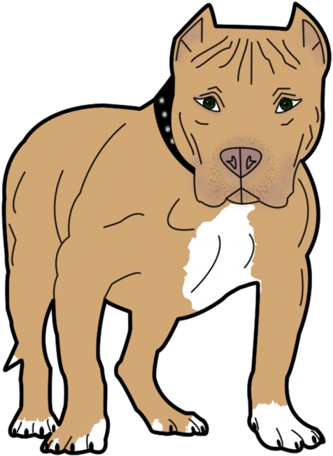 Bull,staffordshire - Pitbull Cartoon Transparent (500x688), Png Download