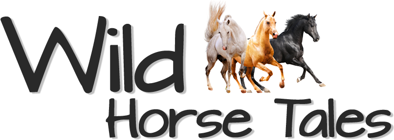 Wild Horse Tales - L'étalon Noir Et La Cité Perdue (816x301), Png Download