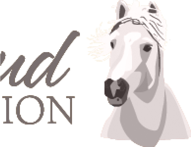 Wild Horse Advocates Appeal Court Decision - Logo (800x600), Png Download