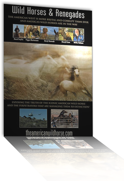 Exposing The Truth Of The Iconic American Wild Horse - Horse (445x637), Png Download