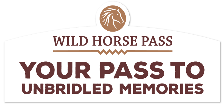 Discover - Wild Horse Pass Boulevard (800x383), Png Download