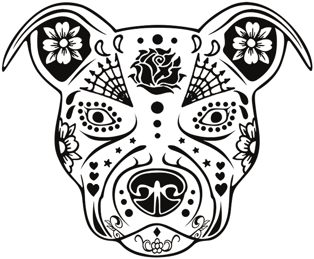 Sugar Pitbull Stock Transfer - Black Rose (675x675), Png Download