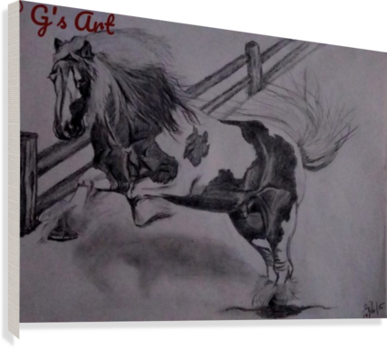 Wild Horse Canvas Print - Stallion (429x386), Png Download