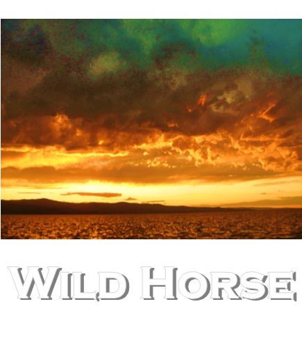 Wild Horse Blend Coffee - Poster (435x520), Png Download