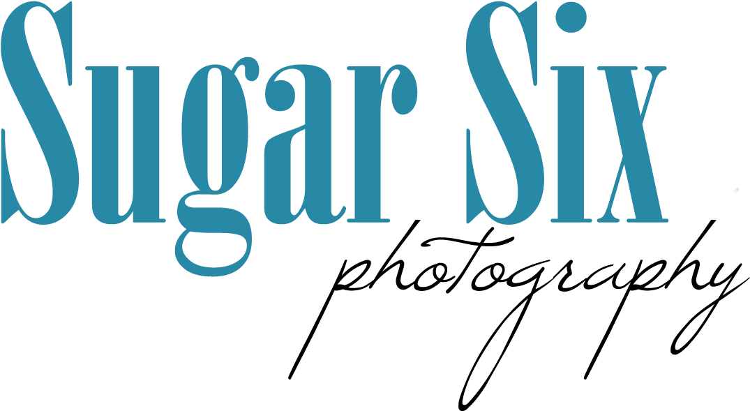 Sugar Six Alaska Wedding Photographer And Portrait - Sugar!! (1335x723), Png Download