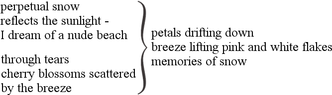 Petals Drifting Down 1a - Petals Drifting (670x201), Png Download