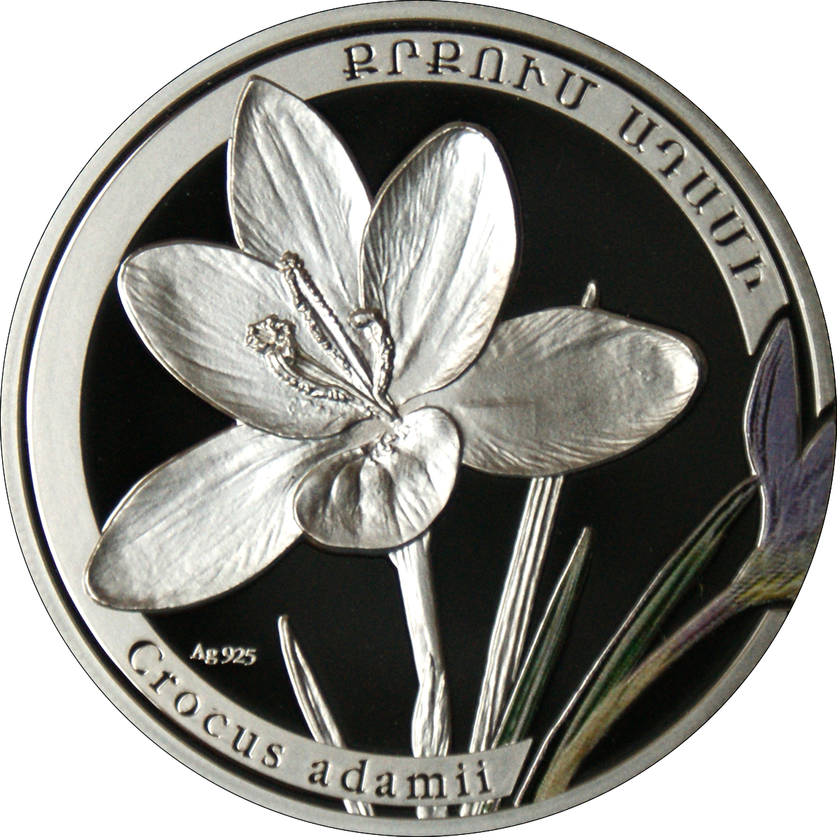 Am 1000 Dram Ag 2011 Crocus B - Silver (1200x1200), Png Download