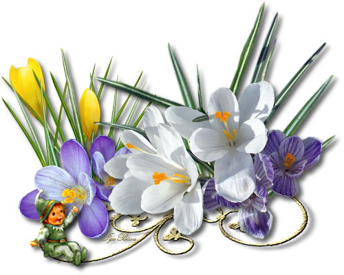 2015 03 06 Separateur Crocus - Centerblog Fr Perceneige Png (500x400), Png Download