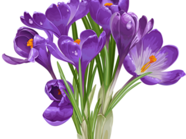 Clipart Of Beautiful Plants (640x480), Png Download