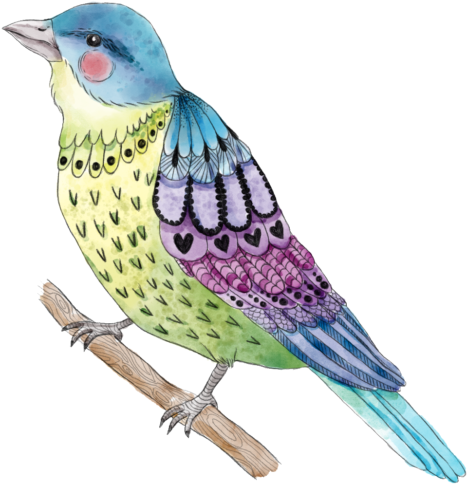 Painted Cute Bird Png Transparent - Bird (1024x1024), Png Download