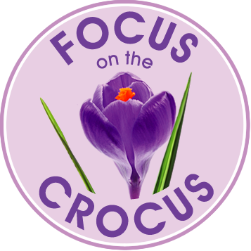 Focus On The Crocus - Crocus (357x357), Png Download