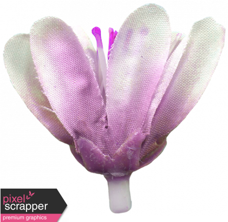 Jolly Neutral - Silk Crocus - Digital Scrapbooking (456x456), Png Download