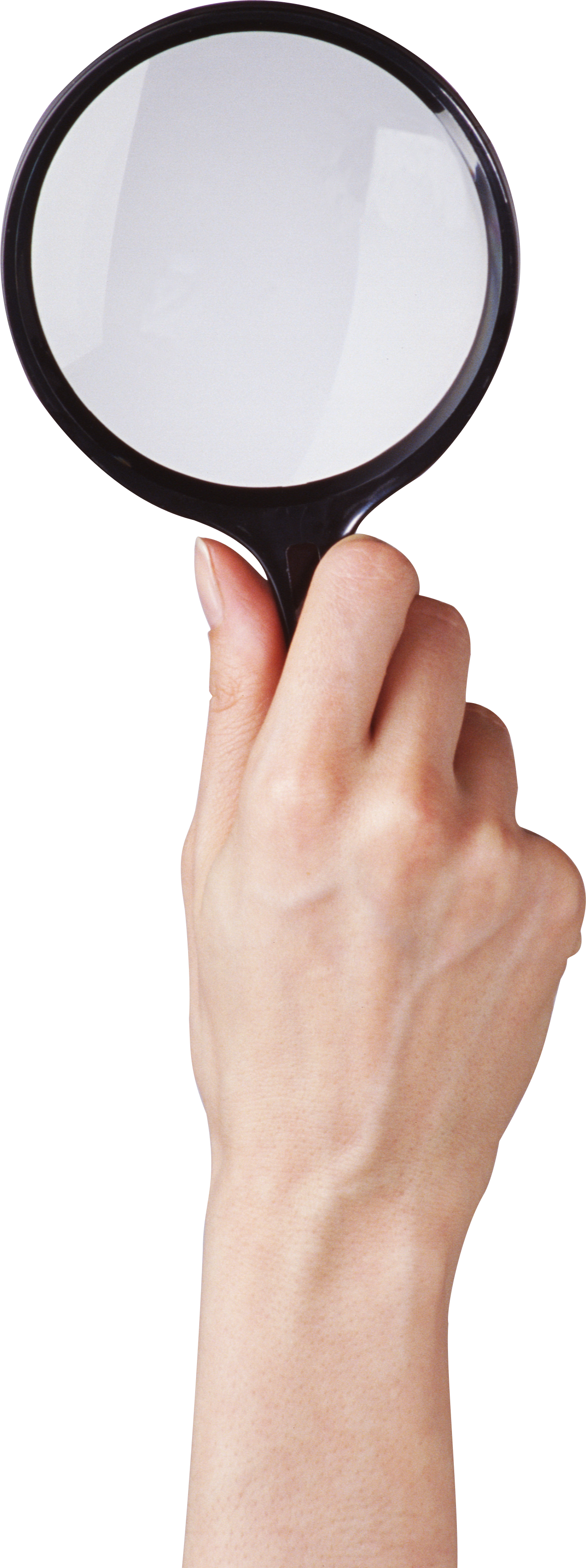Hand Lens (1312x3508), Png Download
