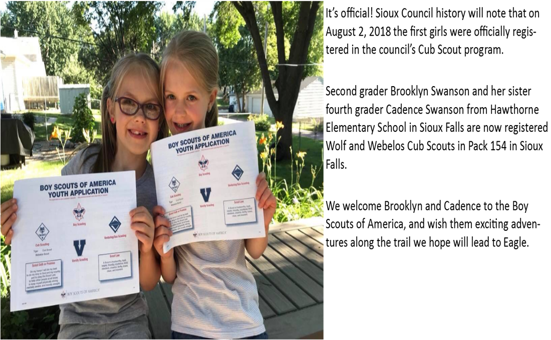 Internet Rechartering - Tree (1100x679), Png Download