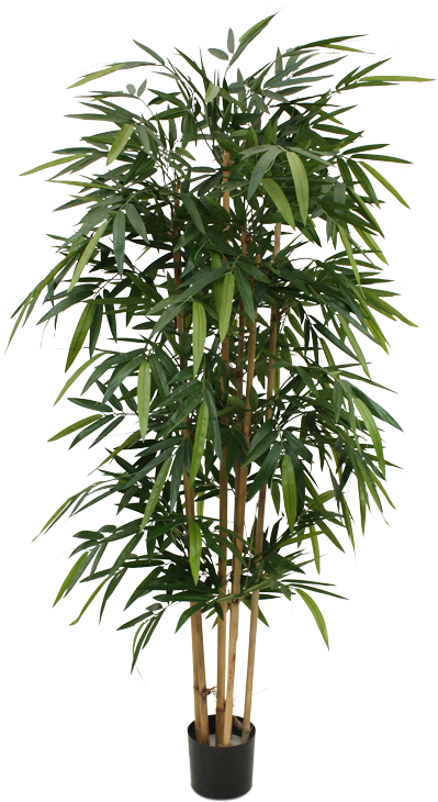 The Bestseller Amoung Our Artificial Trees In A Very - Parlor Palm Tree (800x800), Png Download