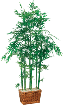 Silk Bamboo Tree In Rectangle Basket - Nearly Natural 5294 Bamboo Silk Tree (648x432), Png Download