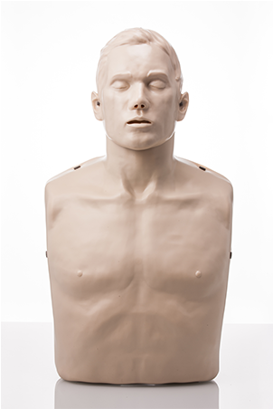 Brayden Cpr Manikin - Brayden Cpr Manikin Basic (462x451), Png Download