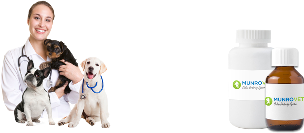 Be1ce017 427d 4fbf A31e Ed7d23568676 - Practical Handbook Of Veterinary By D V M Wendy Thacher (984x450), Png Download