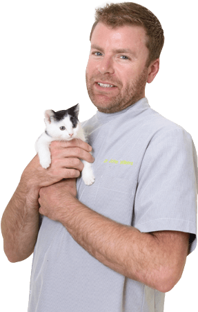 Why Choose Peninsula Vet Care - Dromana (326x474), Png Download