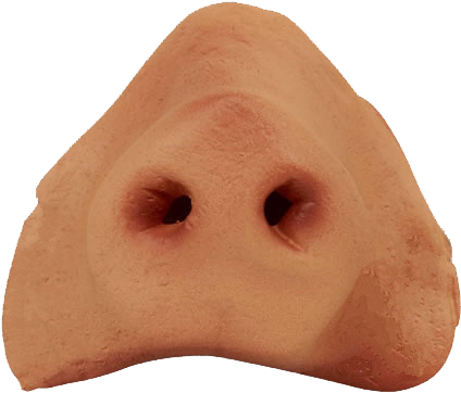 Nose Png Photo - Pig Nose Png (497x400), Png Download