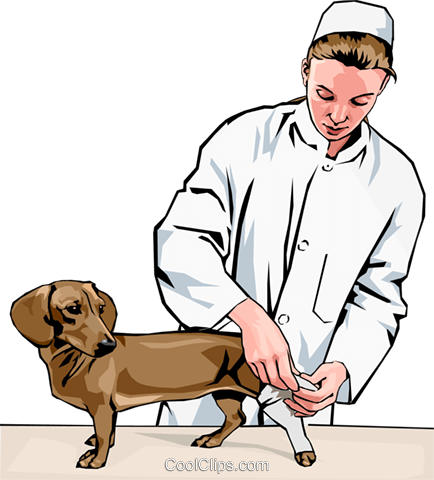Vet Bandaging Dog's Leg Royalty Free Vector Clip Art - Helping Injured Animals Clipart (434x480), Png Download