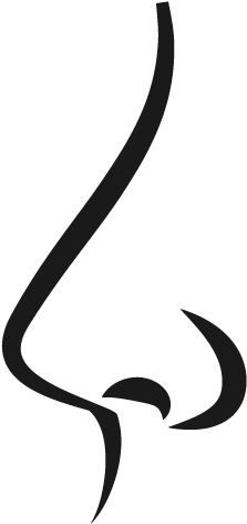 Nose/ - Calligraphy (600x600), Png Download