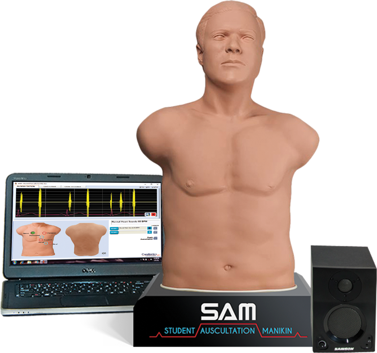 Student Auscultation Manikin 3rd Generation - Sam 3g Student Auscultation Manikin 3rd Generation (1315x1234), Png Download