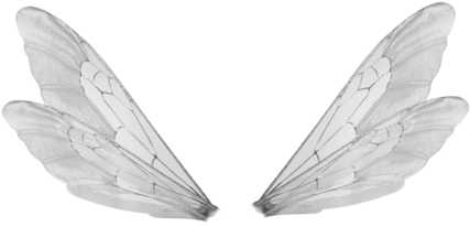 Overlay, Transparent, And Tumblr Image - Male Fairy Wings Png (500x383), Png Download