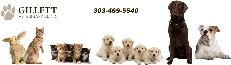 Gillett Vet Clinic Westiminster Co Veterinary Clinic - Happy Cats Beach Towel (978x280), Png Download