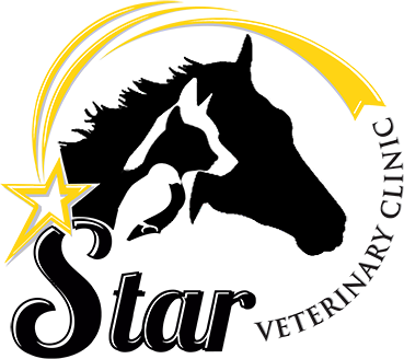 Star Vet - Star Vet Clinic (369x328), Png Download