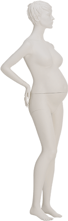 Mtf-01k - Mannequin (310x510), Png Download