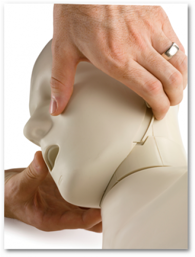 Prestan Ultralite Cpr Manikins 4-pack (500x500), Png Download