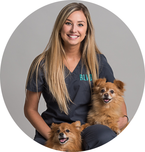 Ashli River North Vet Chicago - Chicago (508x533), Png Download