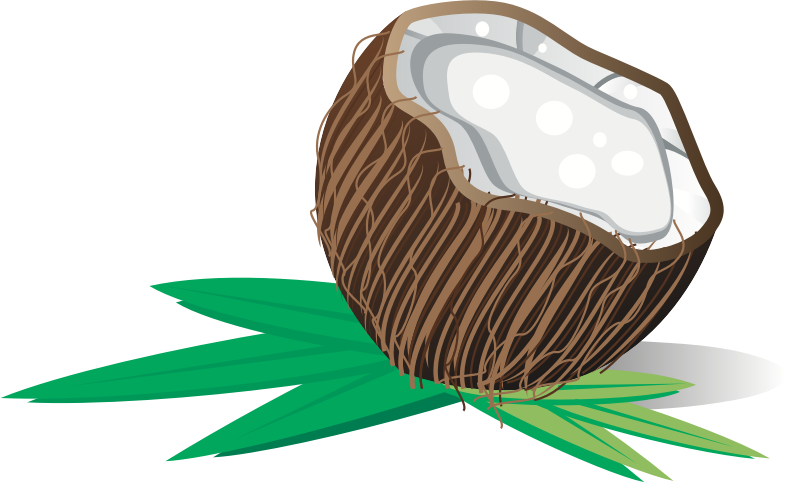 Medium Image - Buah Kelapa Vector (786x483), Png Download