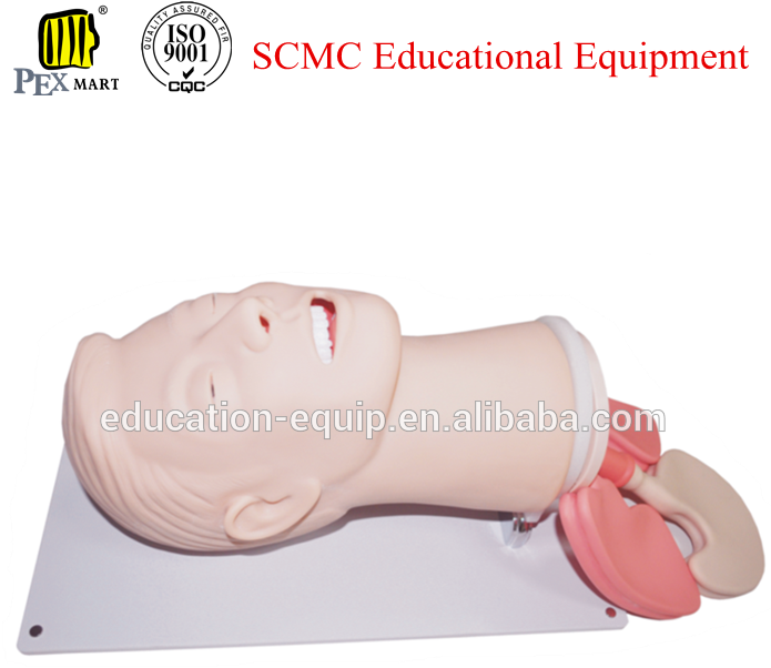 Airway Management (700x800), Png Download