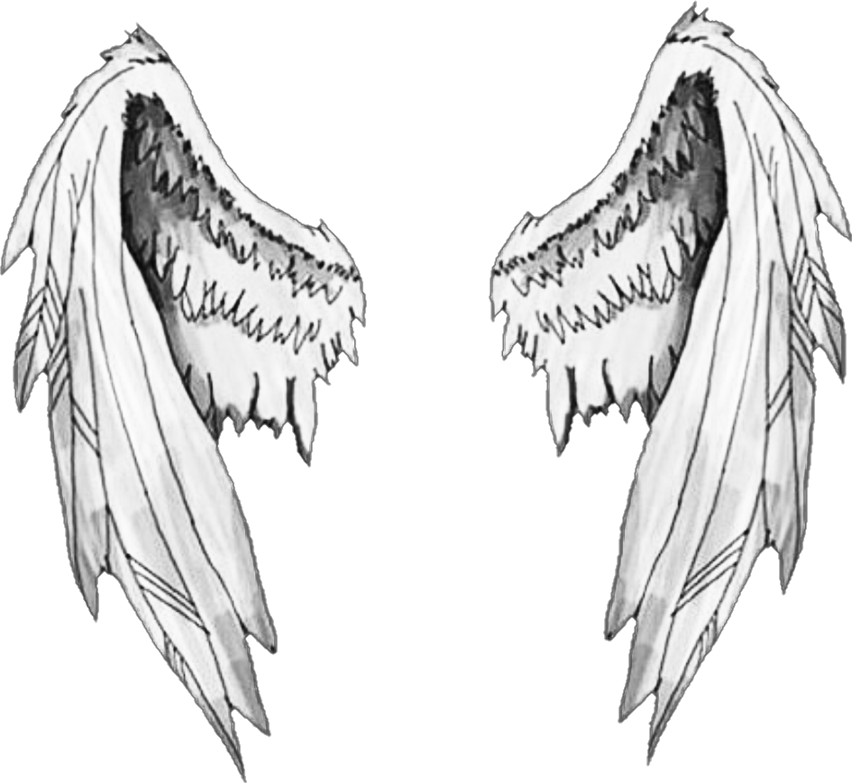 Angel Wings Drawing Tumblr Angel Wings Grievious On - Sticker For Picsart (945x869), Png Download