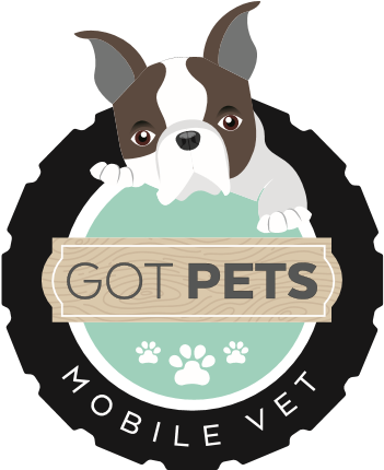 Got Pets Mobile Vet (363x439), Png Download