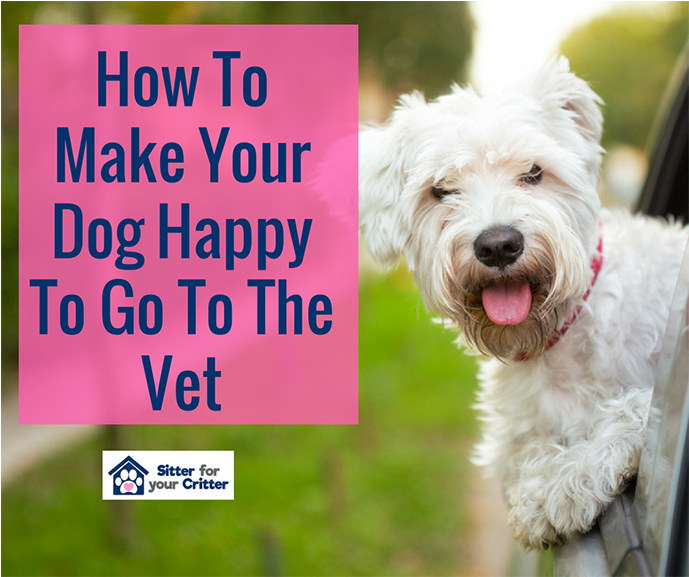 Do Dogs Stick Their Head Out (900x600), Png Download