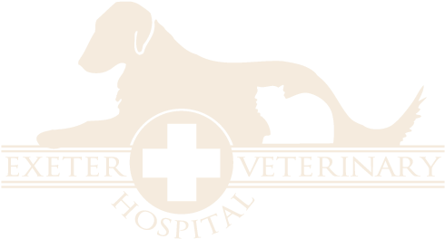 Exeter Veterinary Hospital (500x269), Png Download