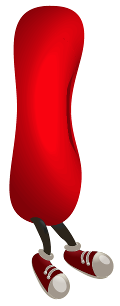 Red Blood Cell 3 (240x611), Png Download