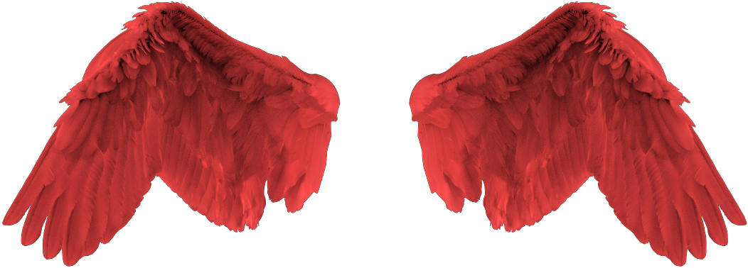 Red Angel Wing (1280x1024), Png Download