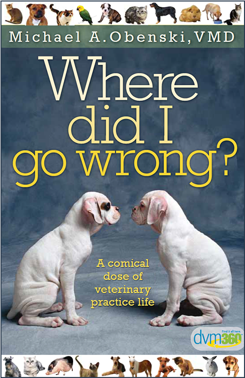 Did I Go Wrong (700x800), Png Download