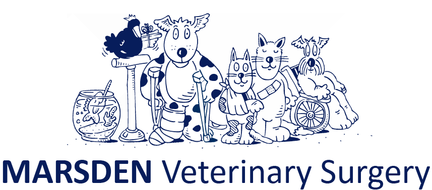 Jorvet Surgical Adhesive Tape 1 (857x378), Png Download