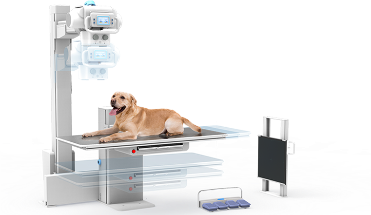 Veterinary Physician (838x440), Png Download